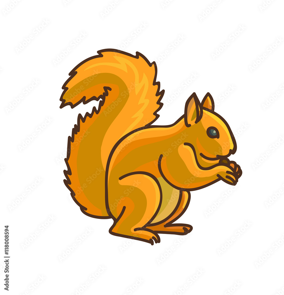 Red Squirrel cartoon drawing. Vector