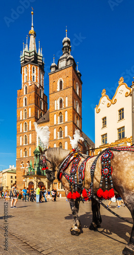 Church of St. Mary in the main Market Square with beautifully decorated horse in the foreground. Basilica Mariacka. Krakow. Poland.