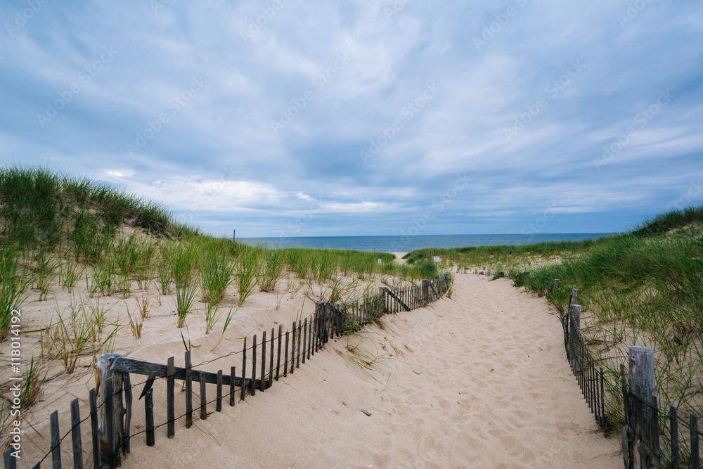 Fence and path through sand dunes at Race Point, in the Province Fence and path through sand dunes at Race Point, in the Province