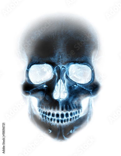 scary x-ray blue neon skull on white