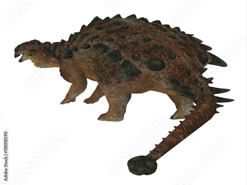 Fototapeta Naklejka Na Ścianę i Meble -  Pinacosaurus Dinosaur Tail -Pinacosaurus was a herbivorous Ankylosaurus that lived in the Cretaceous Period of Mongolia and China. 