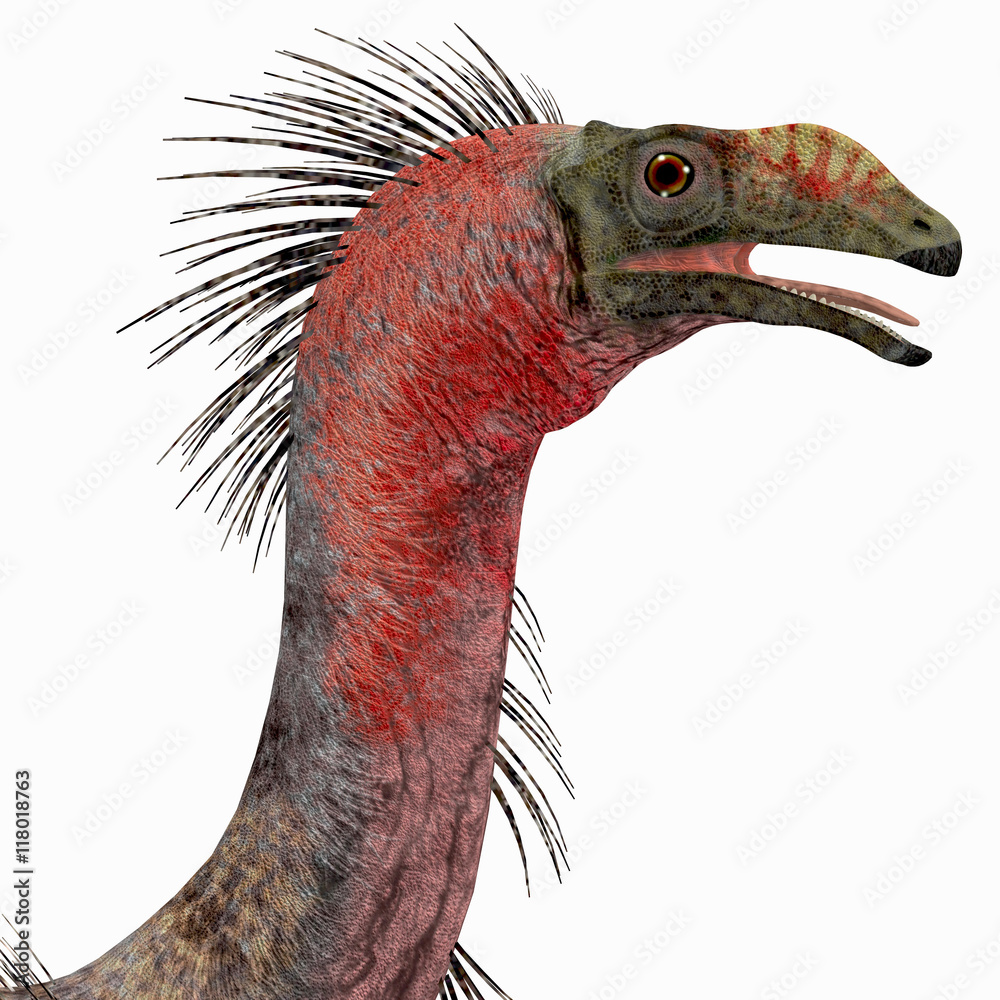 Therizinosaurus Dinosaur Head -Therizinosaurus was a carnivorous ...