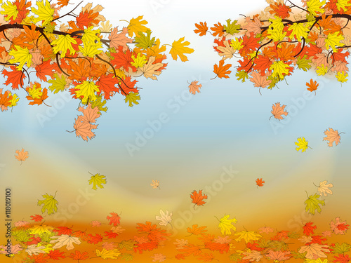 Autumn background with colorful maple leaves