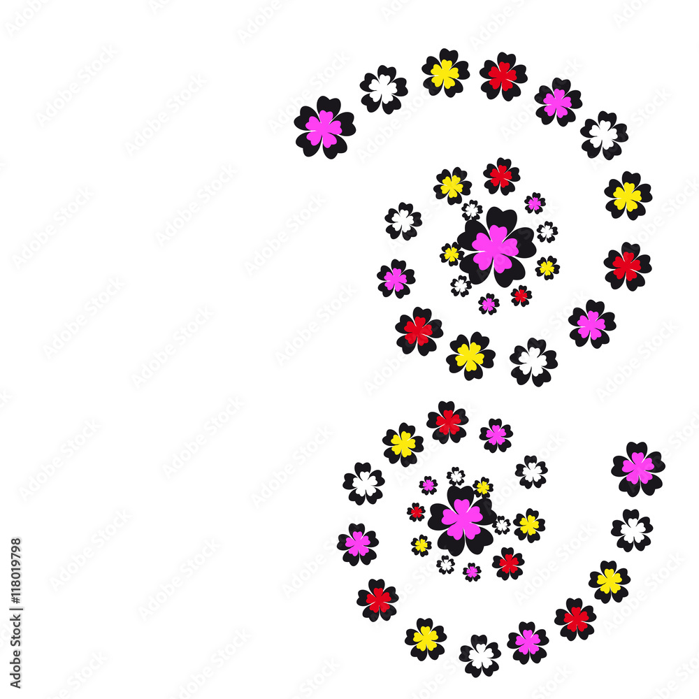 flowers flowers
