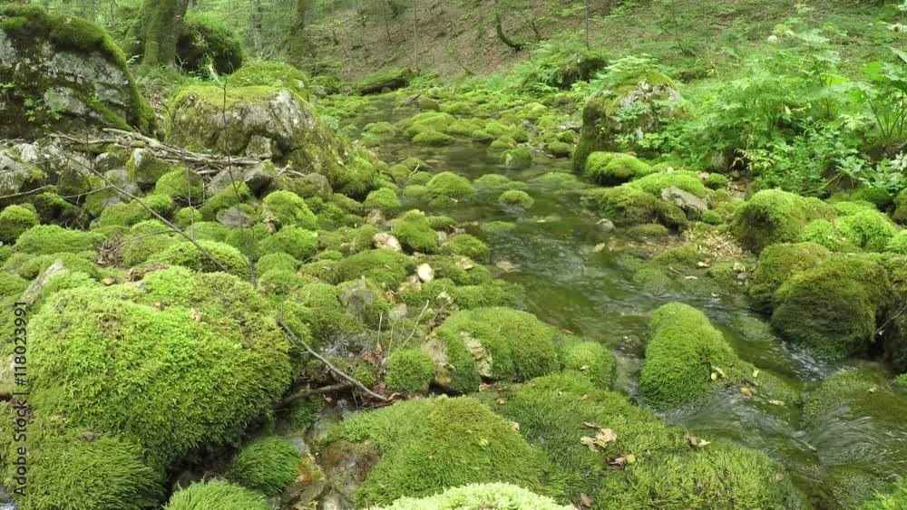 Beautiful river Susica on mountain Durmitor, Montenegro. Camera dolly movement to the right. Beautiful river Susica on mountain Durmitor, Montenegro. Camera dolly movement to the right.