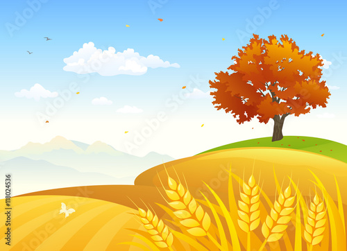 Rural autumn fields