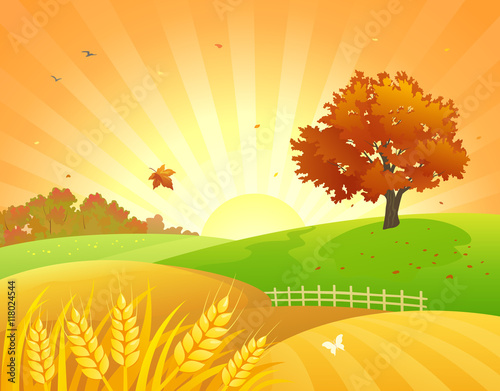 Autumn fields sunset
