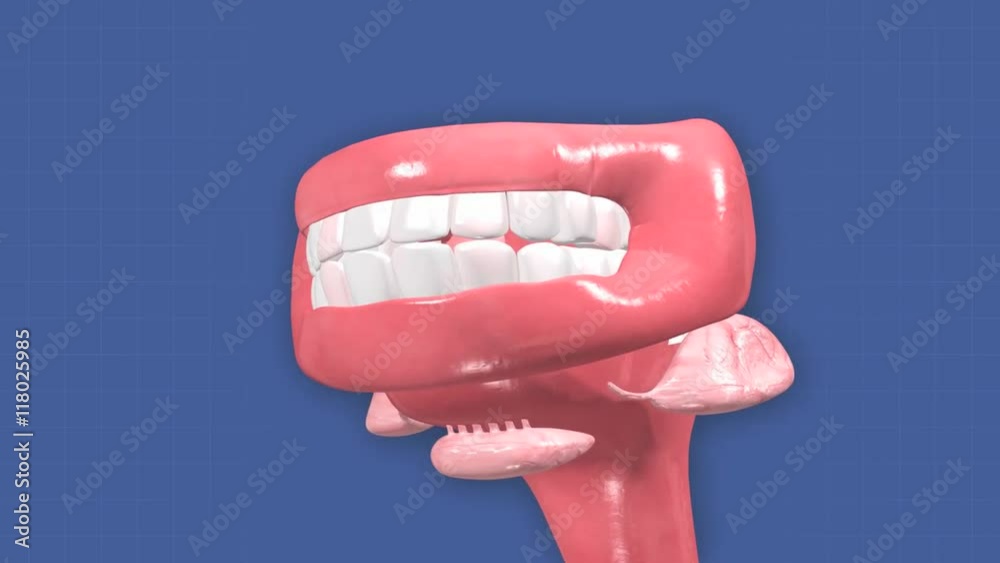 Animation depicting the teeth and gums. The head is visible, but fades ...