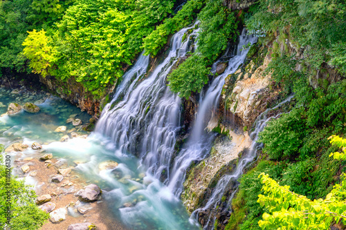 Fototapeta Naklejka Na Ścianę i Meble -  Shirahige Waterfall