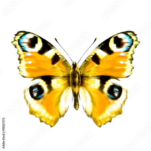 color butterflies,isolated on a white © aboard