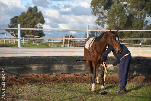 Horseman and his horse