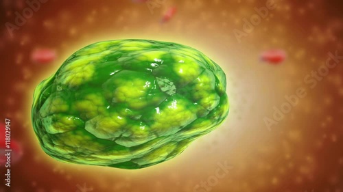 Conceptual visualization of a lysosome. Lysosomes are cellular organelles that contain acid hydrolase enzymes that break down waste materials and cellular debris. photo