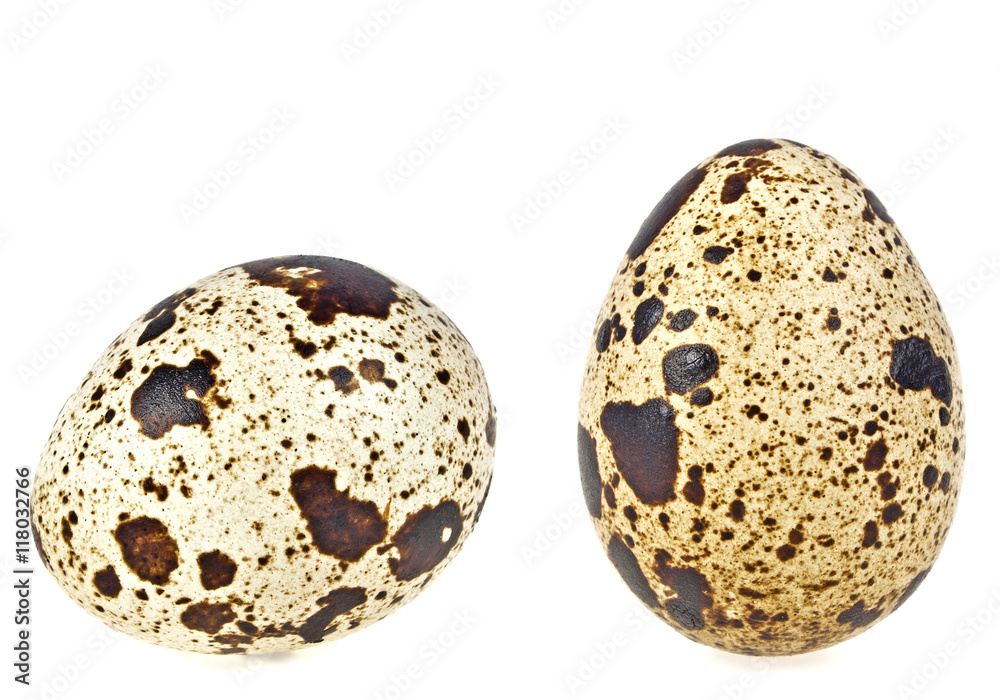Obraz premium Quail eggs on a white background