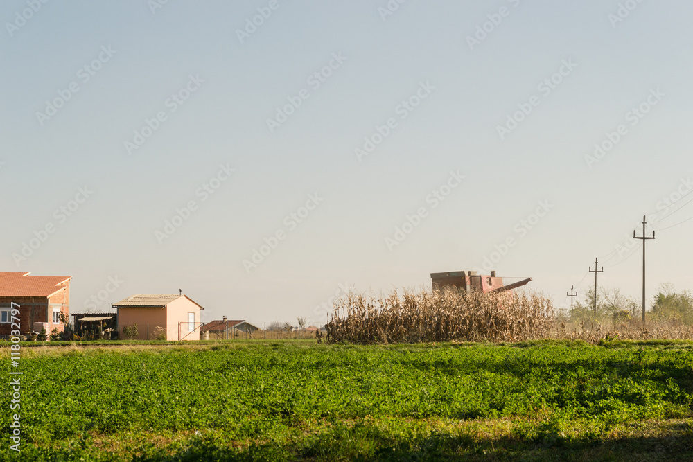 harvester in a field