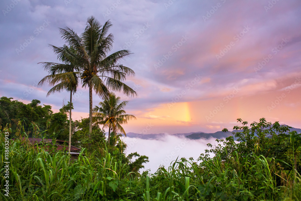 Beautiful tropical landscape with a rainbow after the rain Beautiful tropical landscape with a rainbow after the rain
