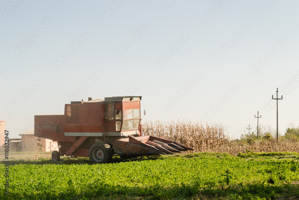 Fototapeta premium harvester in a field