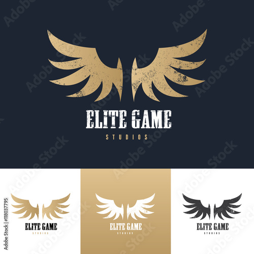Wings Logo, Eagle wing logo,bird symbol,freedom logo, Sport logo,vector logo template.