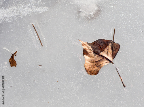 Frozen leaf in water © Jaroslav Moravcik