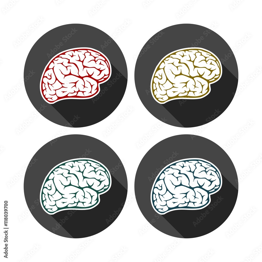 Vector collection of brains Vector collection of brains