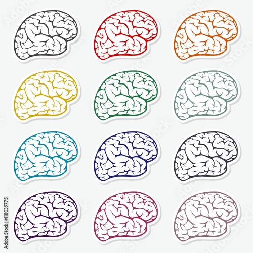 Vector collection of brains