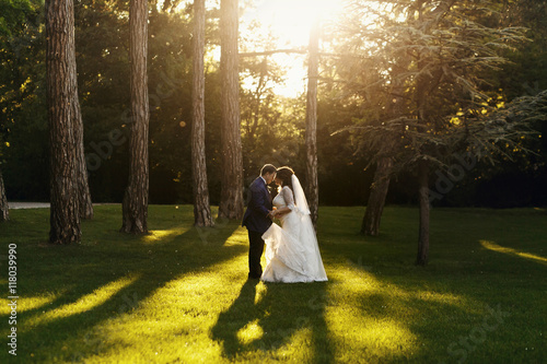 Groom hugs magnificent bride standing in the middle of lawn full