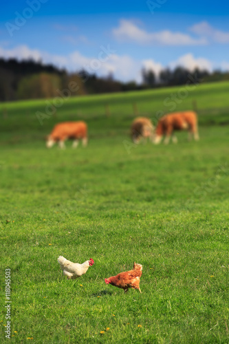 Rural farm