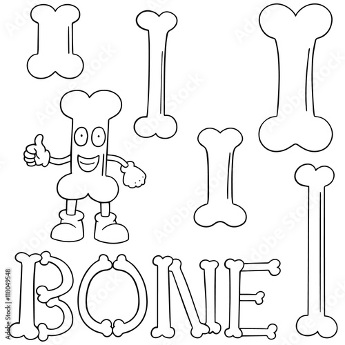 vector set of bone