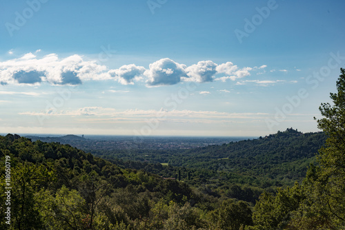 Montagne ricoperte da boschi