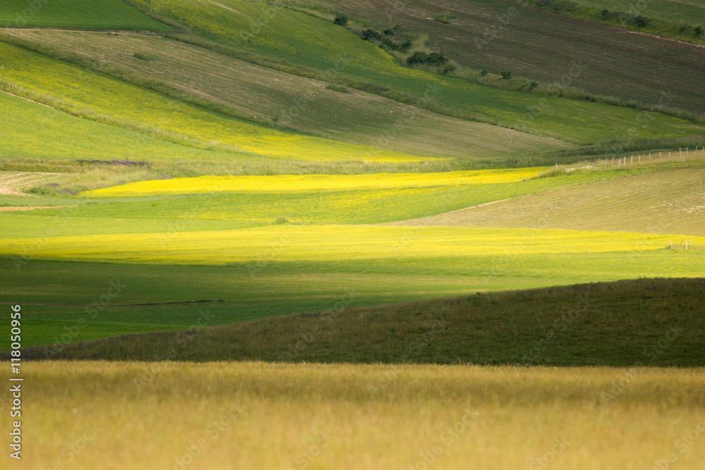 Fototapeta premium Castelluccio di Norcia