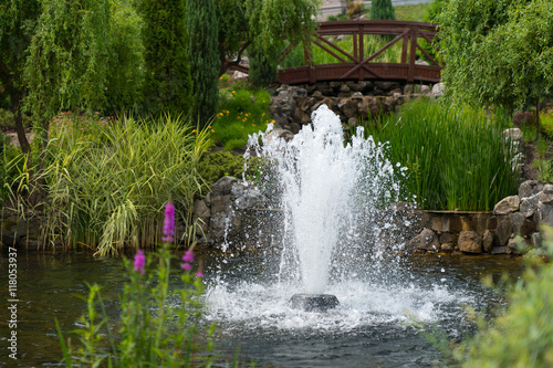 Obraz na płótnie Outdoor landscape garden with pond and fountain w salonie