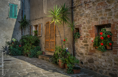 Fototapeta Naklejka Na Ścianę i Meble -  House and plants in Montemerano, Tuscany