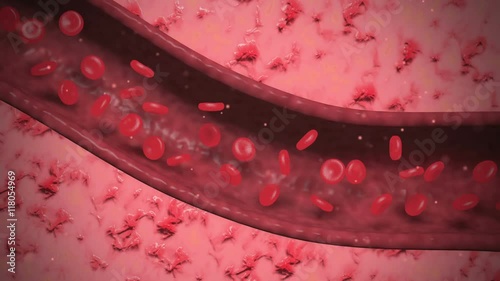 Cutaway view of blood cells flowing through artery.
