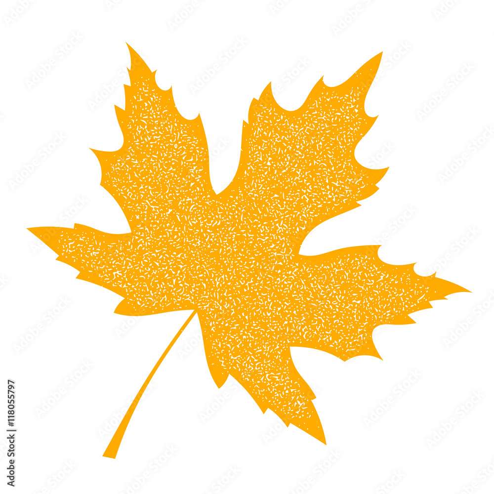 Yellow Maple Leaf with grange texture on a white background. Aut Yellow Maple Leaf with grange texture on a white background. Aut