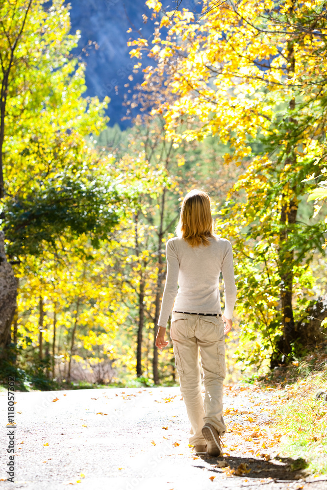 femme se promenant dans la foret femme se promenant dans la foret