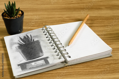 Cactus sketch on notebook