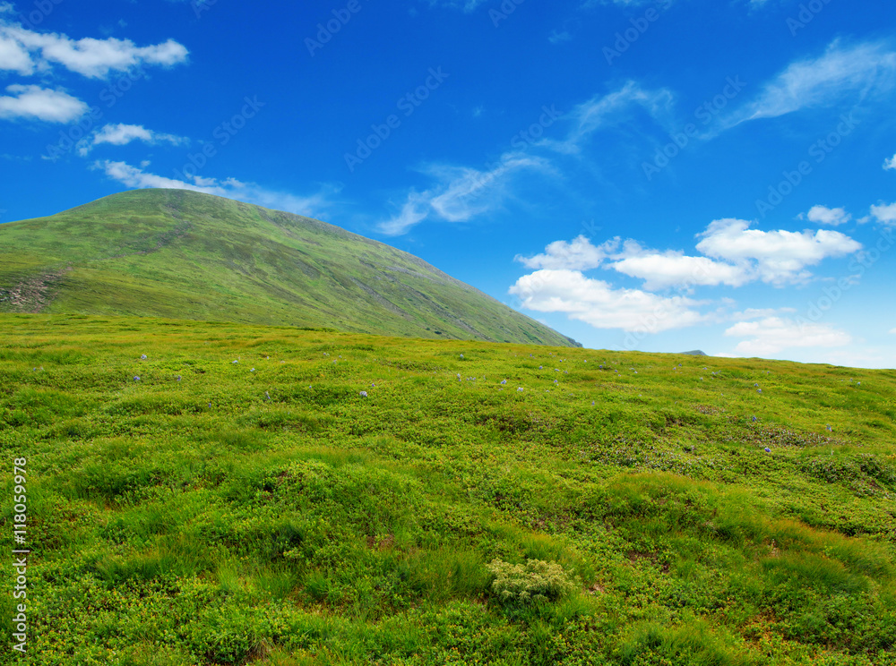 Fototapeta premium Mountain landscape in the summer