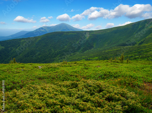 Mountain landscape in the summer