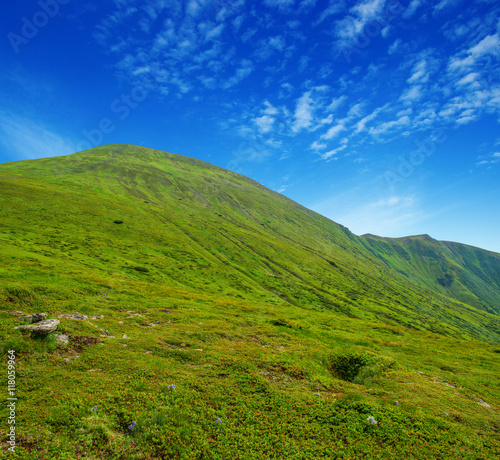 Mountain landscape in the summer