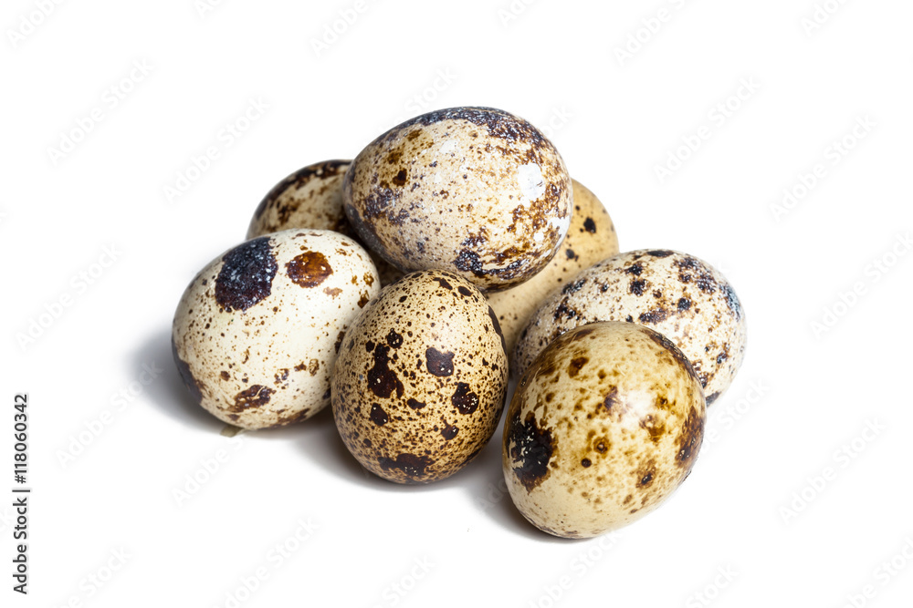 Quail eggs are isolated on a white background Quail eggs are isolated on a white background