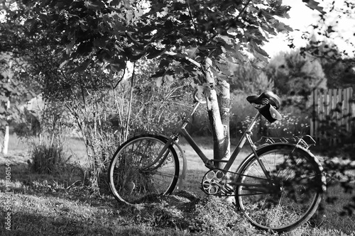 monochrome photo bicycle on a rural nature