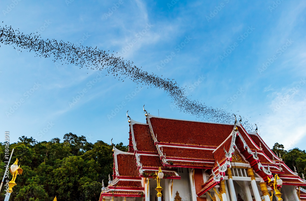 Hundred Million Bats at Wat Khao Chong Pran, Ratchaburi Thailand