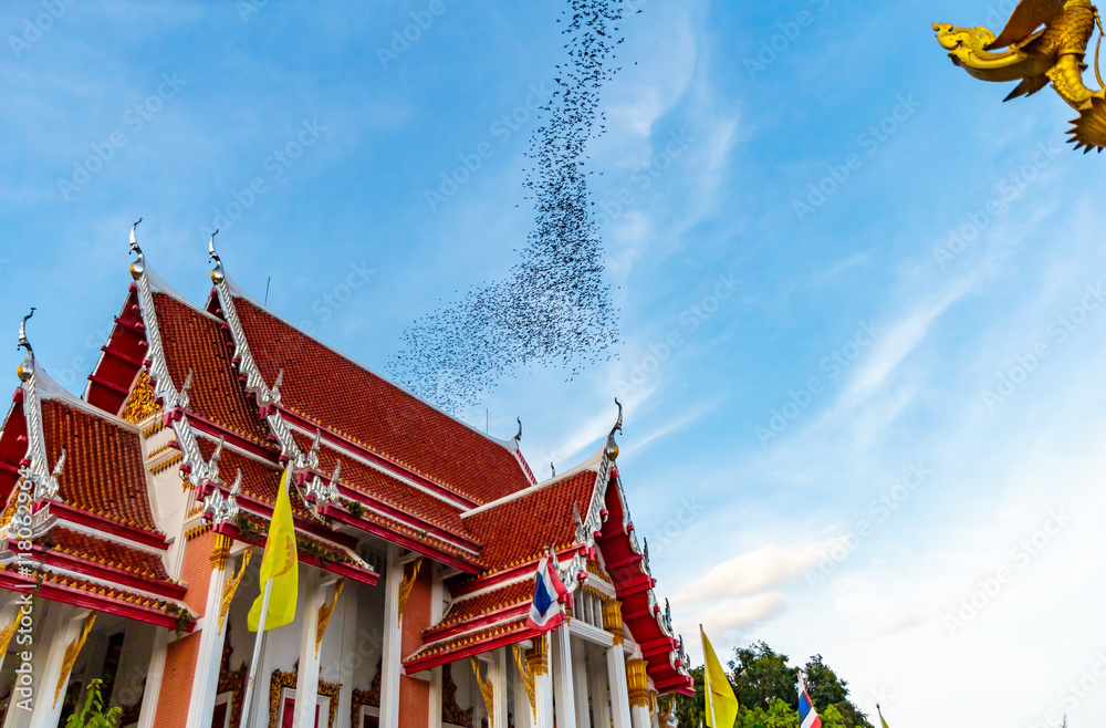 Hundred Million Bats at Wat Khao Chong Pran, Ratchaburi Thailand