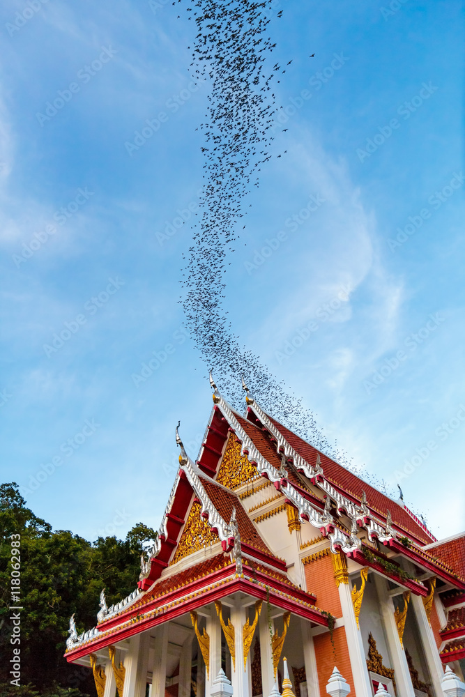 Hundred Million Bats at Wat Khao Chong Pran, Ratchaburi Thailand