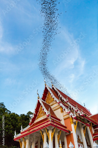 Obraz na płótnie Hundred Million Bats at Wat Khao Chong Pran, Ratchaburi Thailand w salonie