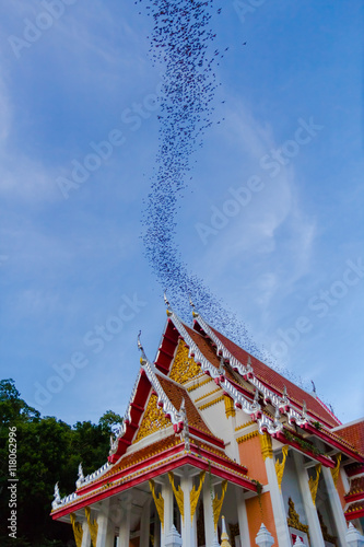 Obraz na płótnie Hundred Million Bats at Wat Khao Chong Pran, Ratchaburi Thailand w salonie