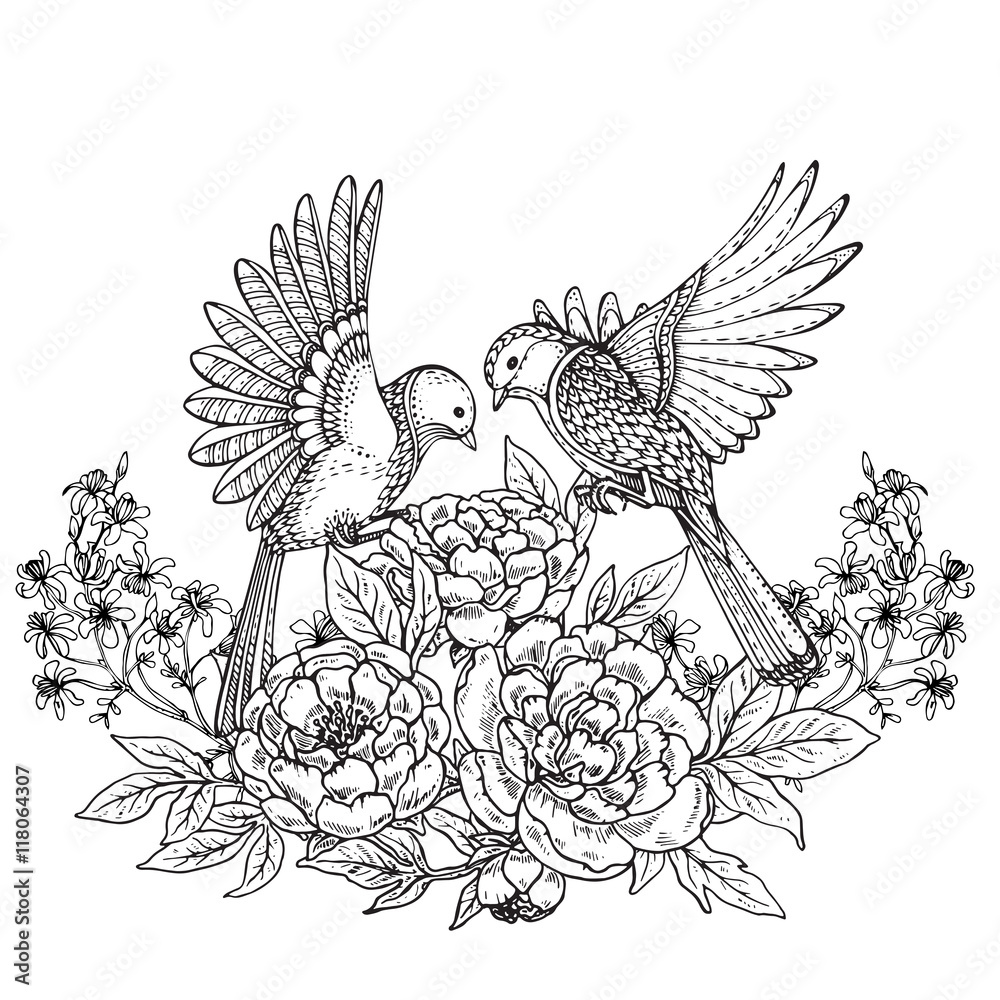 Fototapeta premium Vector illustration of two hand drawn graphic birds and peony fl