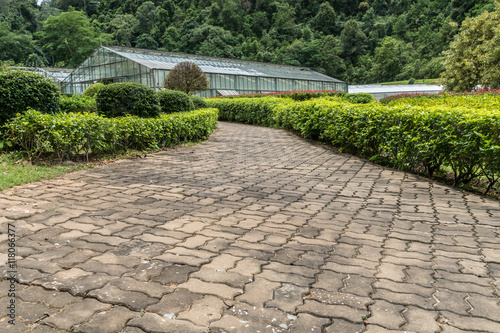 Concrete Pathway in garden