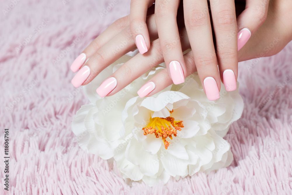 Well-groomed nails nail nail art design. pink and white colors of nail art. Nail polish. Beauty hands. Fashion Stylish Fashion Colorful Nails