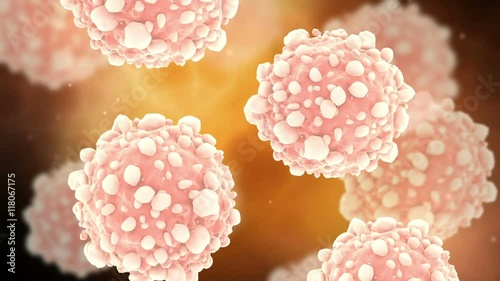 Visualization of pancreatic cancer cells.