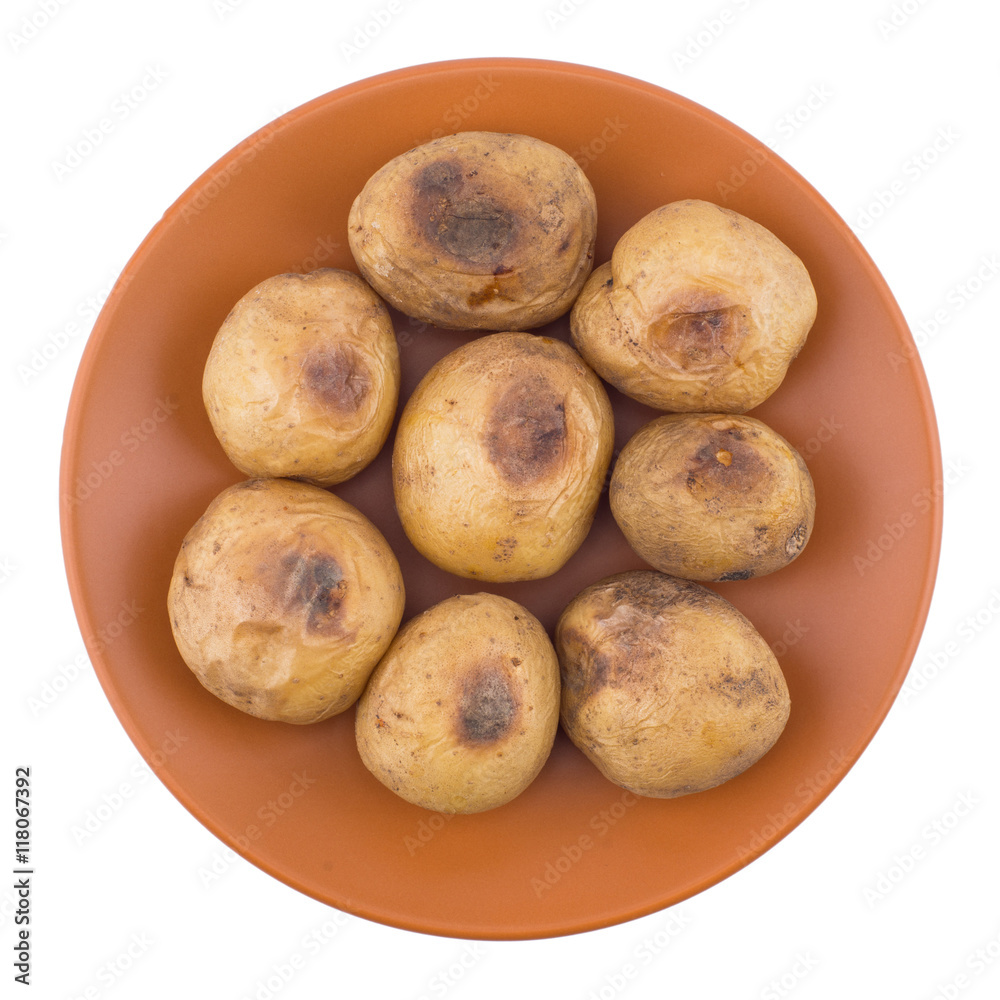 Baked potato in a brown plate isolated on white. Baked potato in a brown plate isolated on white.